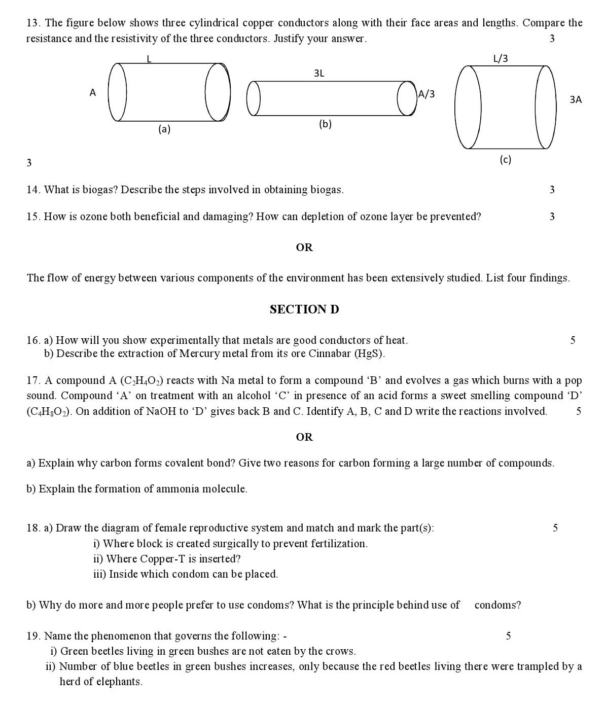 Science CBSE Class X Sample Question Paper 2018-19 - Image 3