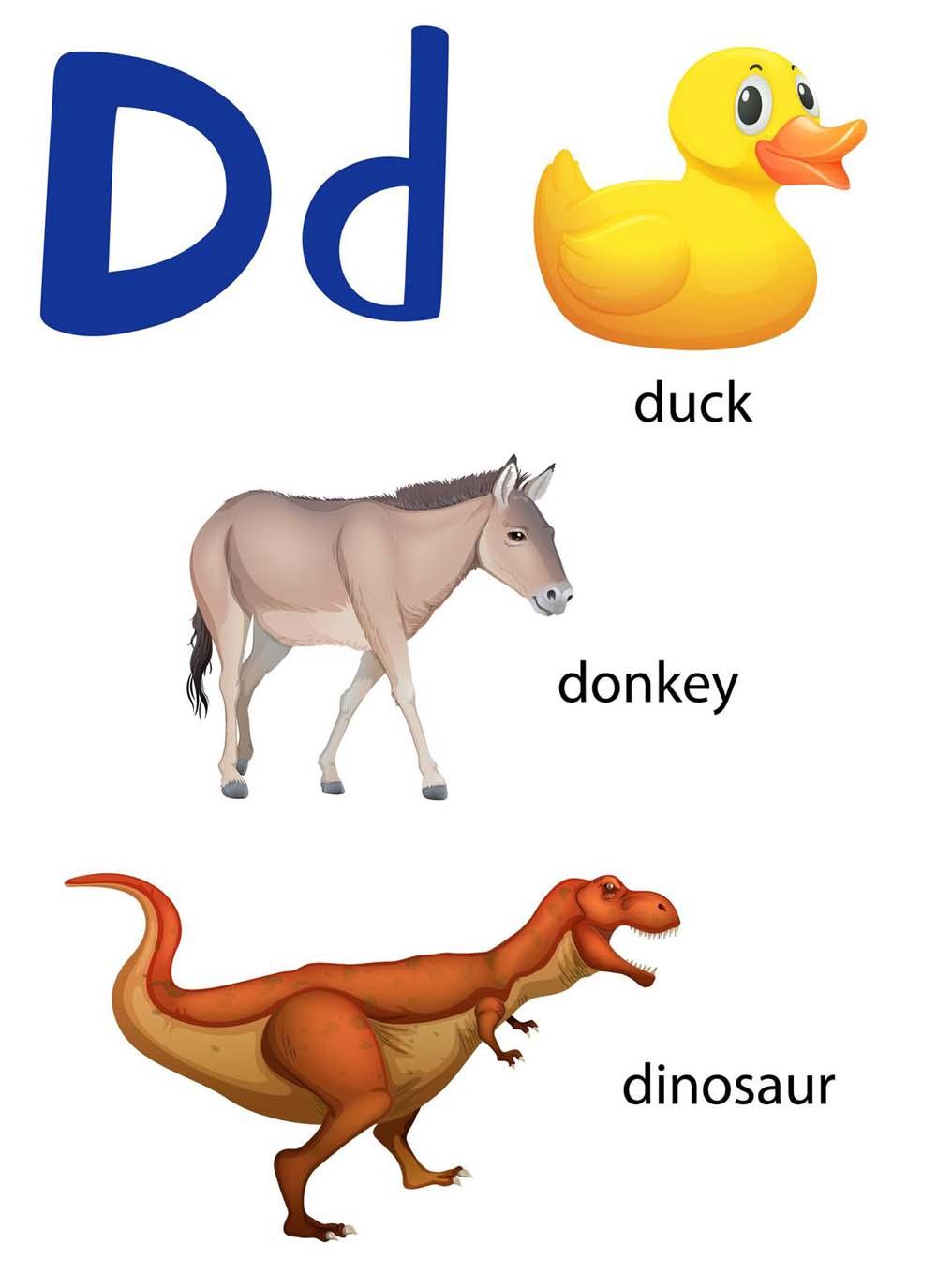 Learn Capital and Small Letter D using our Picture Worksheets-Worksheets