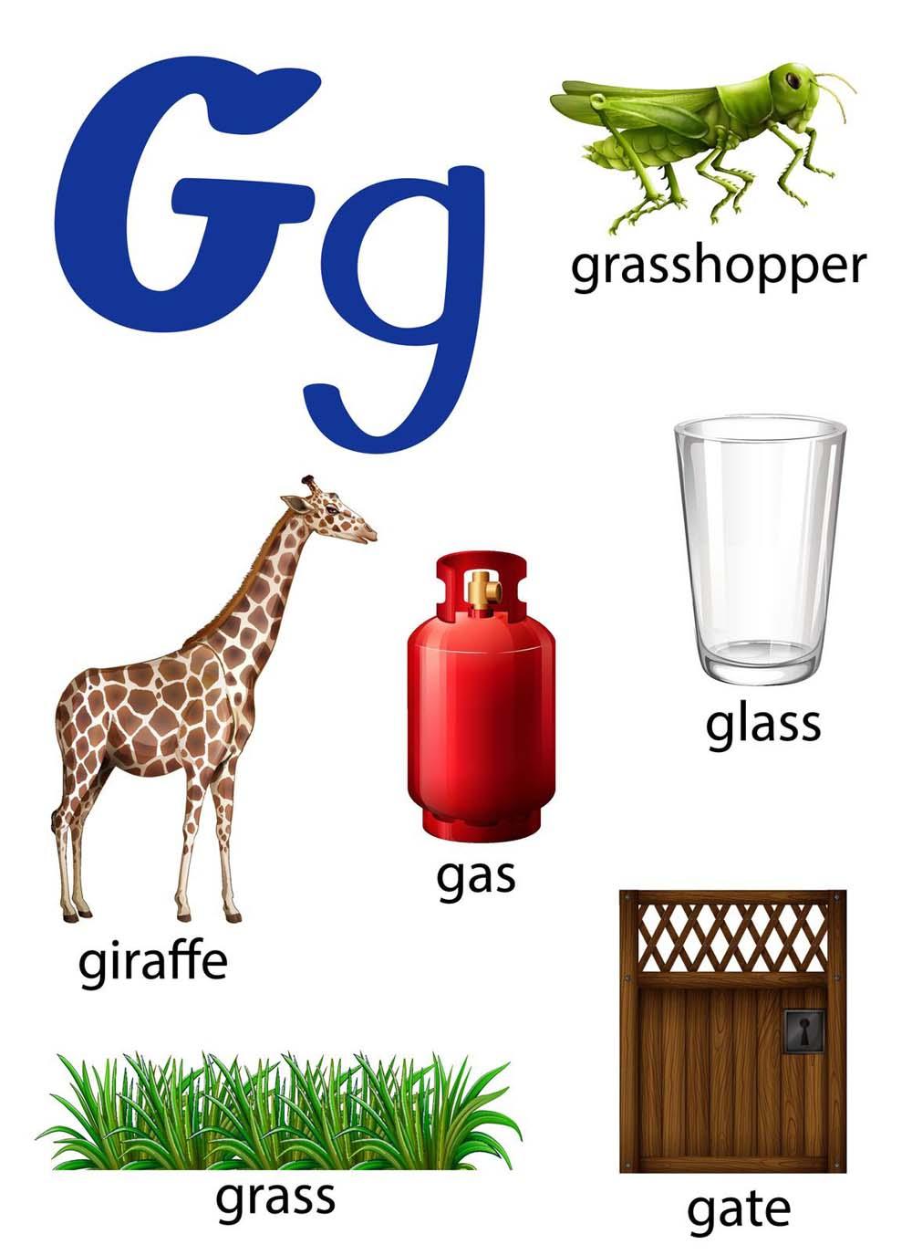 Learn Capital and Small Letter G using our Picture Worksheets-Worksheets