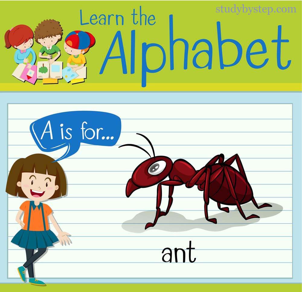 A is for ant - Learn the Alphabet A with Picture