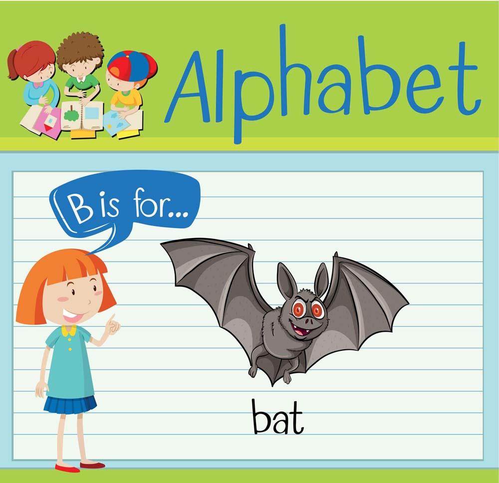 B is for bat - Learn the Alphabet B with Picture